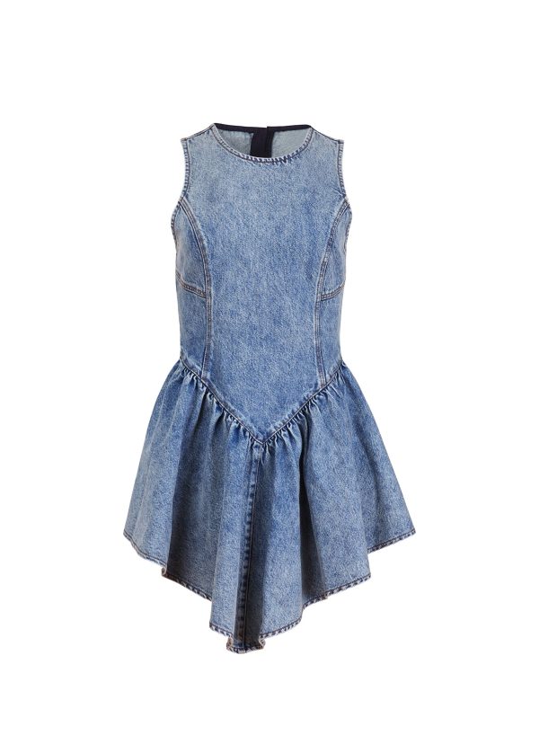 Denim Flare Mini Dress